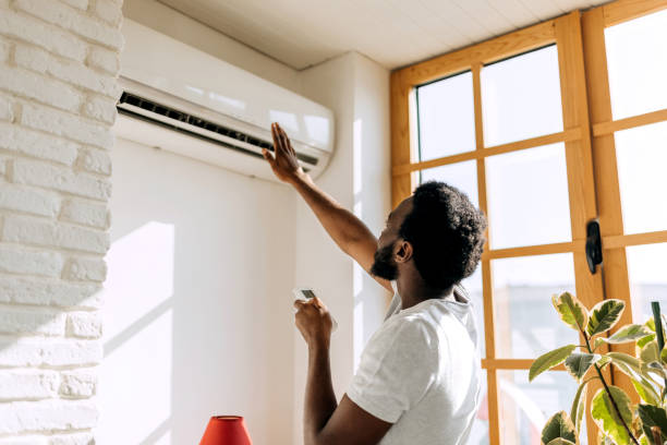Best Local HVAC companies  in Belleview, FL